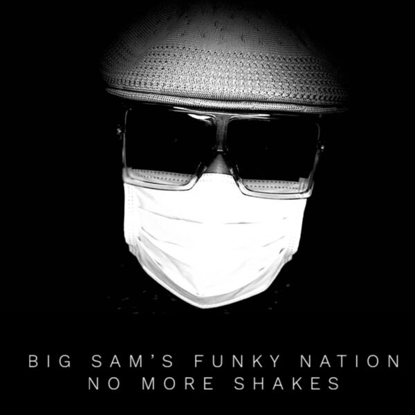 Cover art for No More Shakes